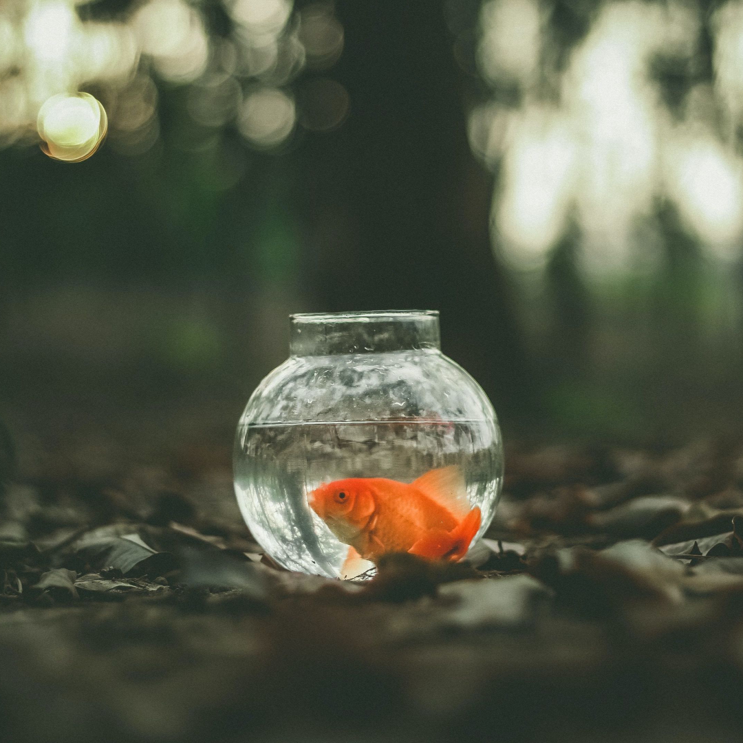 Odd Things People Have Left in Their Will